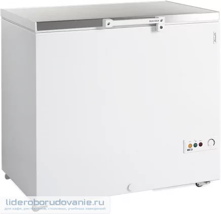 Ларь морозильный TEFCOLD FR305S SL (миниатюра)