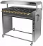 Вы смотрели Шашлычница электрическая Grill Master Ф3ШЭ (21301)