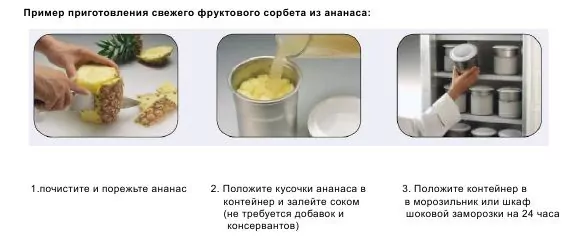 Pacojet Пакоджет Оборудование Пример приготовления сорбета