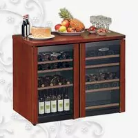 ШКАФ ВИННЫЙ TECFRIGO EUROWINE 220