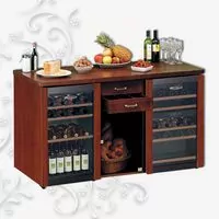 Tecfrigo Винный мини шкаф EUROWINE 220 STOCK