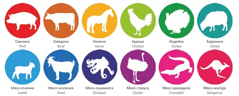 Виды мяса для обработки Виды мяса для обработки